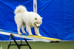 2023-AADTC-April-Trial-1824