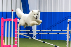 2023-AADTC-April-Trial-1828