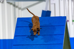 2023-AADTC-April-Trial-1829