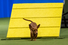 2023-AADTC-April-Trial-1830