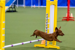 2023-AADTC-April-Trial-1832