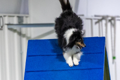 2023-AADTC-April-Trial-1833