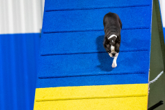 2023-AADTC-April-Trial-1835