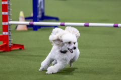 2023-AADTC-April-Trial-1839