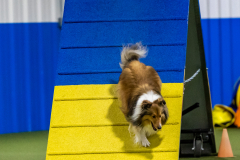 2023-AADTC-April-Trial-1841