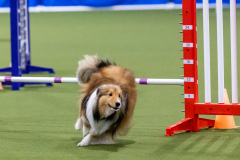 2023-AADTC-April-Trial-1842