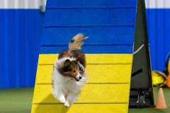 2023-AADTC-April-Trial-1844