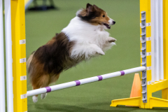 2023-AADTC-April-Trial-1847