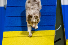 2023-AADTC-April-Trial-1849