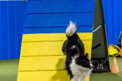 2023-AADTC-April-Trial-1855