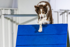 2023-AADTC-April-Trial-1856