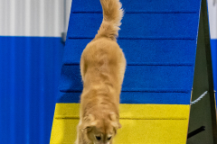 2023-AADTC-April-Trial-1859