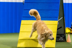 2023-AADTC-April-Trial-1860