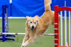 2023-AADTC-April-Trial-1861