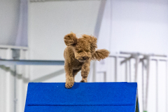 2023-AADTC-April-Trial-1863