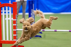 2023-AADTC-April-Trial-1865