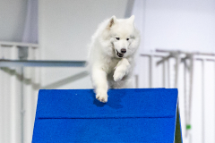 2023-AADTC-April-Trial-1866