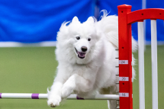 2023-AADTC-April-Trial-1869