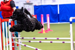 2023-AADTC-April-Trial-187