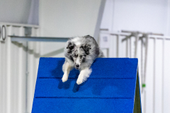 2023-AADTC-April-Trial-1870