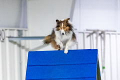 2023-AADTC-April-Trial-1872