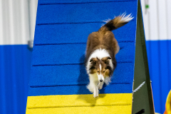 2023-AADTC-April-Trial-1873