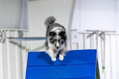 2023-AADTC-April-Trial-1876