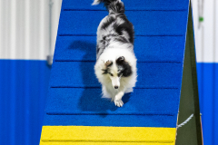 2023-AADTC-April-Trial-1880