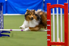 2023-AADTC-April-Trial-1887