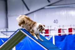 2023-AADTC-April-Trial-189