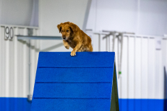 2023-AADTC-April-Trial-1891