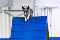 2023-AADTC-April-Trial-1895