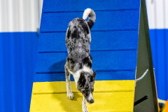 2023-AADTC-April-Trial-1896