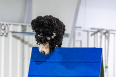 2023-AADTC-April-Trial-1897