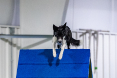 2023-AADTC-April-Trial-1899