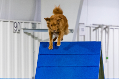 2023-AADTC-April-Trial-1902