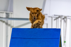 2023-AADTC-April-Trial-1904