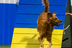 2023-AADTC-April-Trial-1905