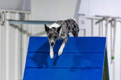 2023-AADTC-April-Trial-1906