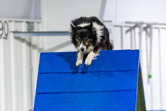 2023-AADTC-April-Trial-1910