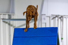 2023-AADTC-April-Trial-1913