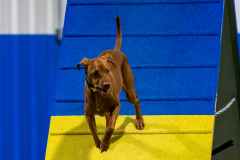 2023-AADTC-April-Trial-1914