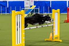 2023-AADTC-April-Trial-1918