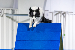 2023-AADTC-April-Trial-1919