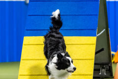 2023-AADTC-April-Trial-1920