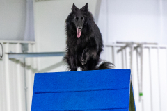 2023-AADTC-April-Trial-1925