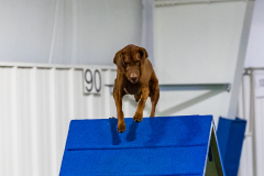 2023-AADTC-April-Trial-1930