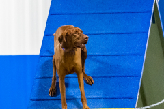 2023-AADTC-April-Trial-1932