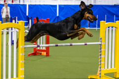 2023-AADTC-April-Trial-1935