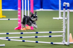 2023-AADTC-April-Trial-1939